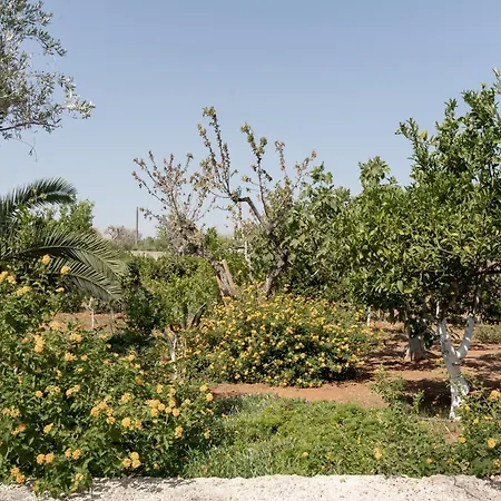 Uliveto Secolare Alloggio per agriturismo San Vito dei Normanni