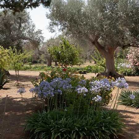 Alloggio per agriturismo Uliveto Secolare San Vito dei Normanni